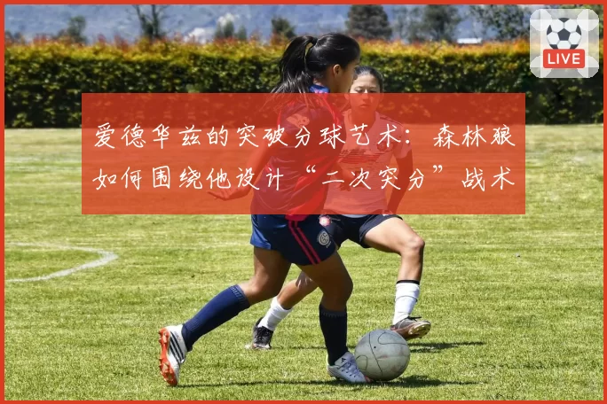 爱德华兹的突破分球艺术：森林狼如何围绕他设计“二次突分”战术